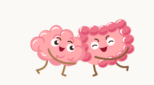The Gut-Brain Axis: Exploring the Link Between Gut Health and Mental Well-Being