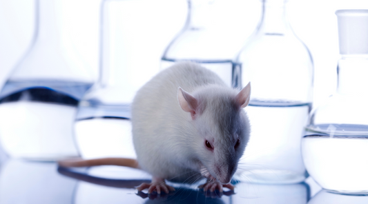 Welcome to the Great American Pharma Experiment (Spoiler: We’re the Lab Rats)